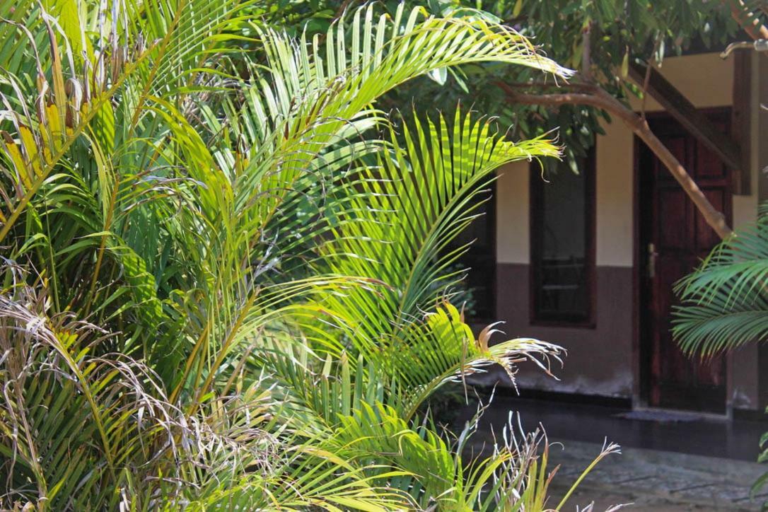Harrys Oceanhouse 2 Pacitan Διαμέρισμα Εξωτερικό φωτογραφία